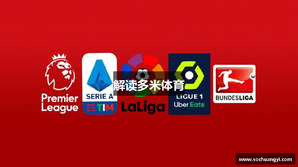 解读多米体育